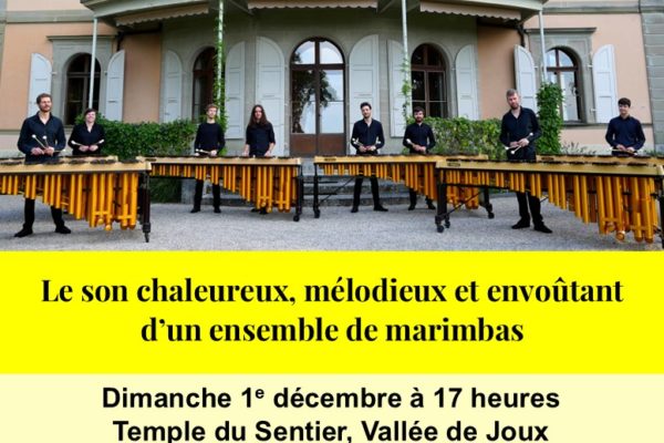« Lames enchantées » : le son chaleureux, mélodieux et envoûtant d’un ensemble de marimbas