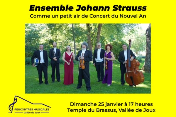 Ensemble Johann Strauss – Le Charme viennois